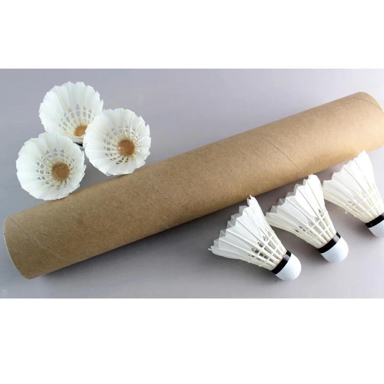 Badminton Club Logo - Custom Logo Goose Feather Club Training