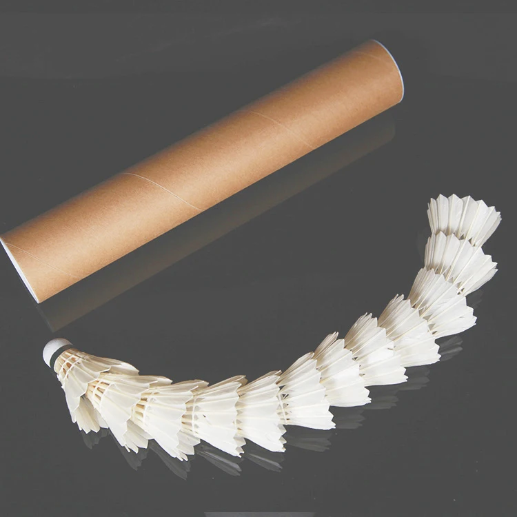 Custom Logo Goose Feather Club - Badminton Club Logo 评论和价格