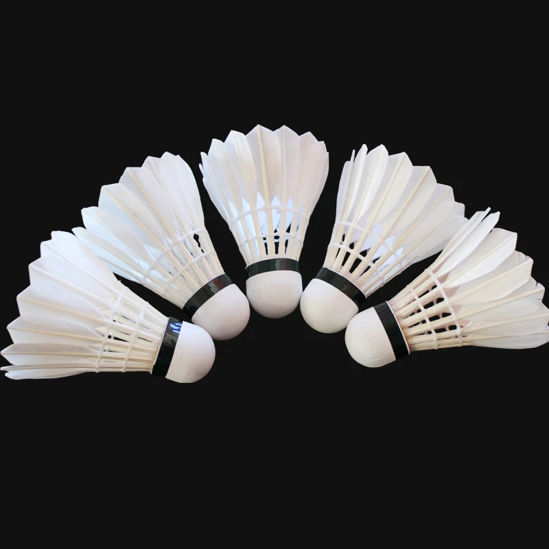 Custom Logo Goose Feather Club - Badminton Club Logo 评论和价格